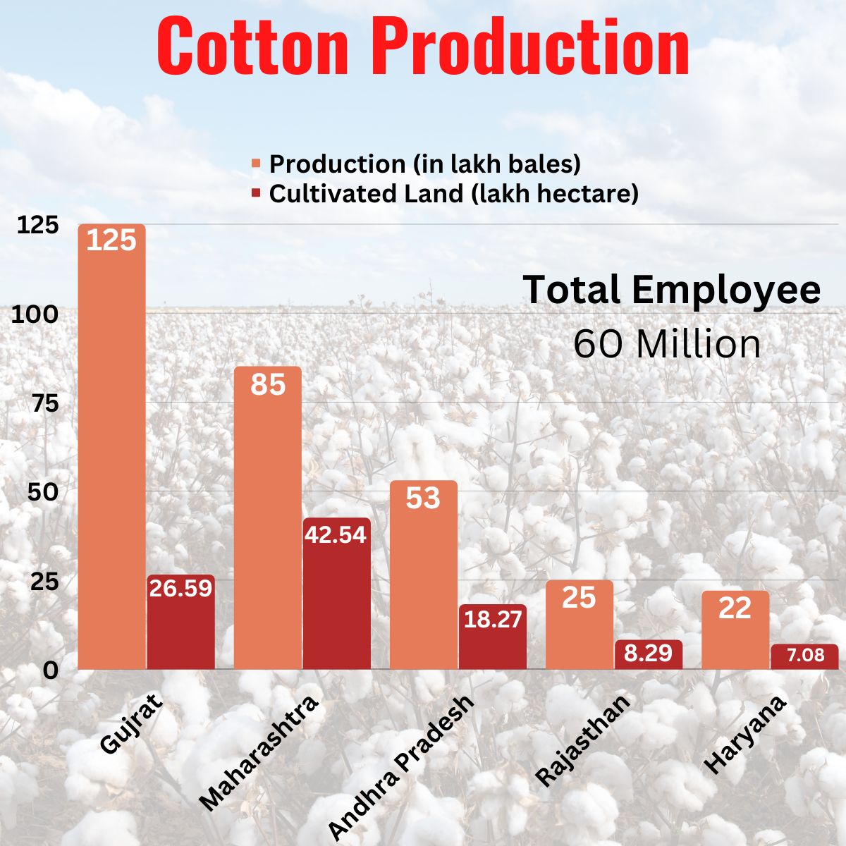 Cotton Production Stats India 2022